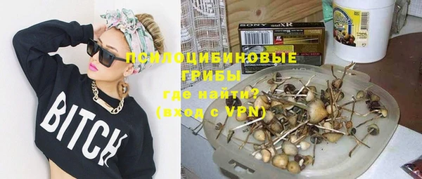 ALPHA PVP Алексин