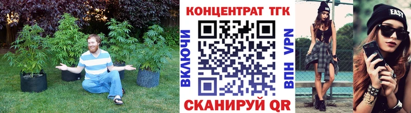 Купить где  Кулебаки  ТГК концентрат 
